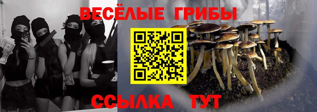 Королёв  Галлюциногенные грибы ЛСД  Вход с VPN  Псилоцибиновые грибы Psilocybe 